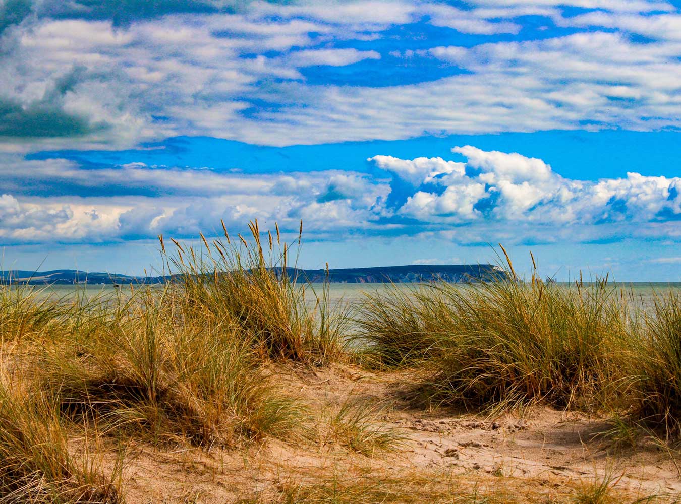 View of Isle of Wight from Hengistbury Head Dorset