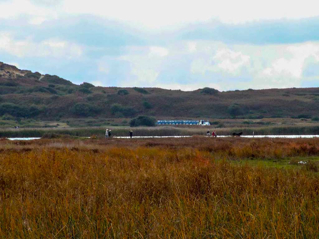 Hengistbury-Head-Land-Train