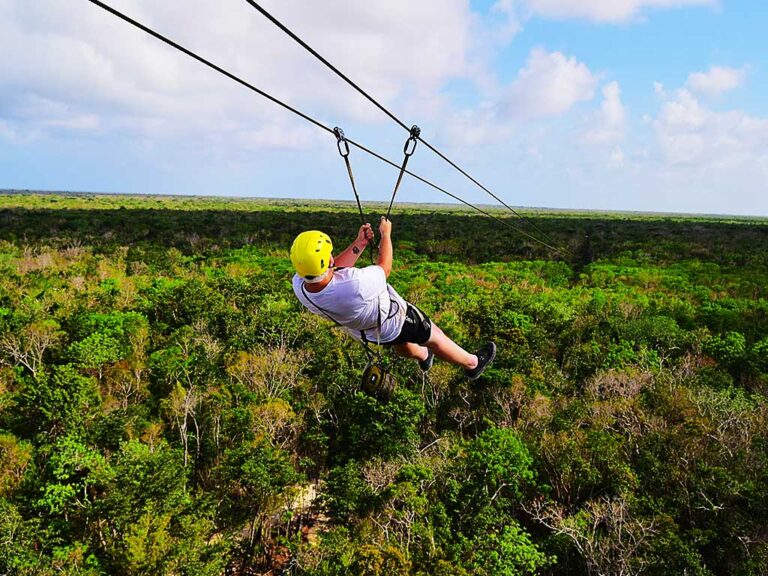 Zipline in Jungle