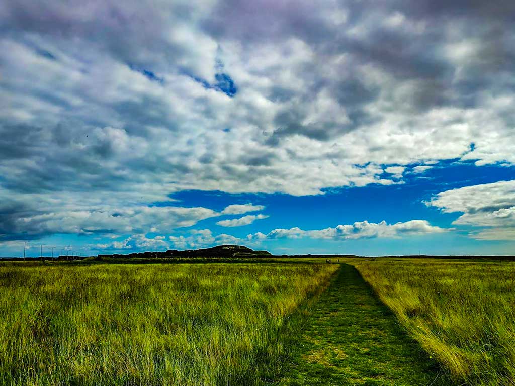 Warren Hill Hengistbury Head Nature Reserve Dorset