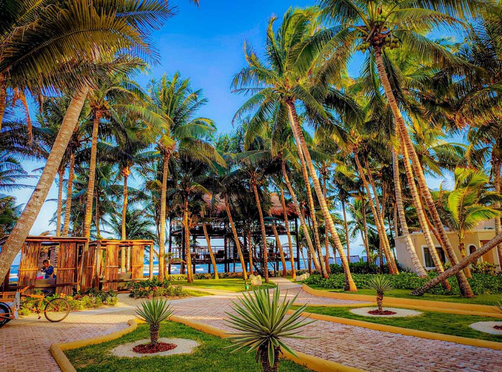 Sky Massage at El Dorado Seaside Suites