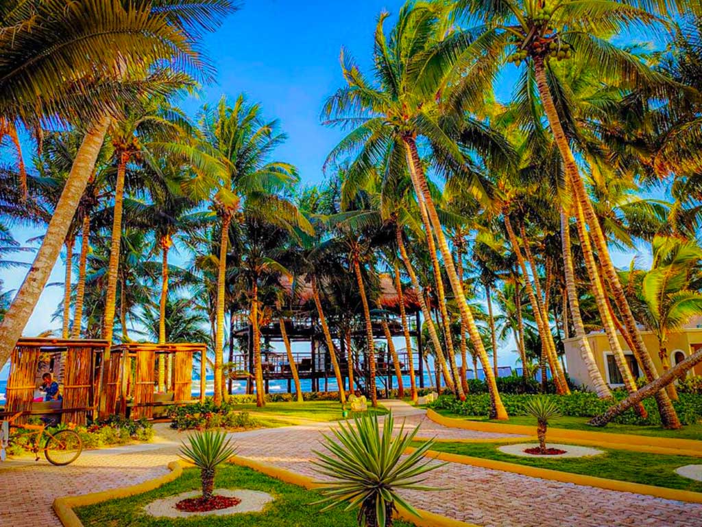 Sky Massage Area on Beach at Naay Spa Mexico