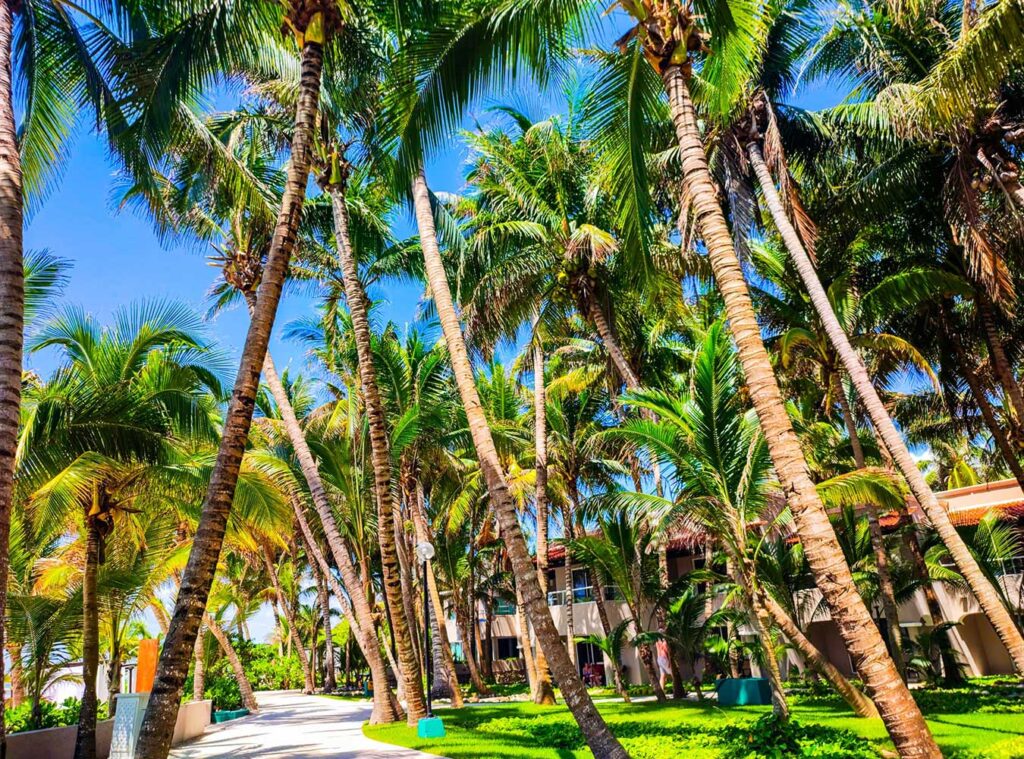Ocean View Rooms at El Dorado Seaside Suites resort in Mexico