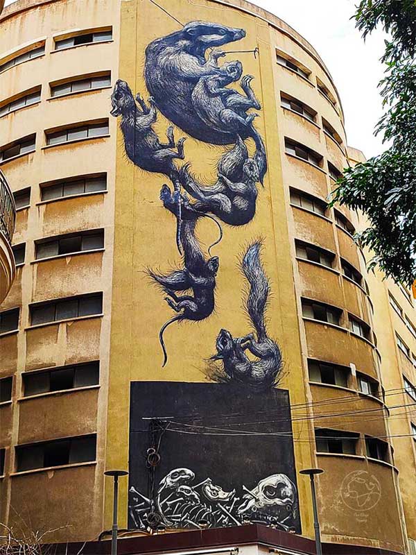 Malaga Street Art Image of Rat-Street-Art-C-Casas de Campos-3-29001-Malaga-Spain