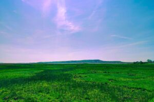 Free Things to do in Christchurch Dorset
