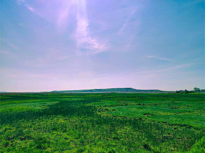 Free Things to do in Christchurch Dorset -Stanpit Marsh Nature 