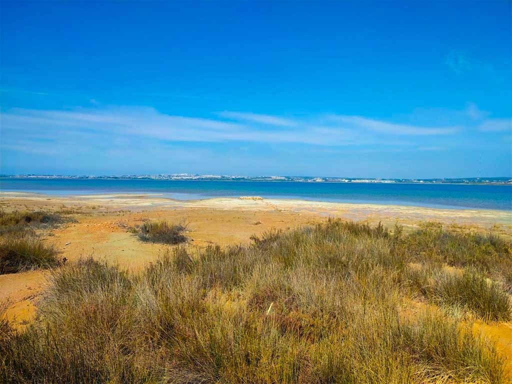 Laguna Salada De La Mata Observation Point