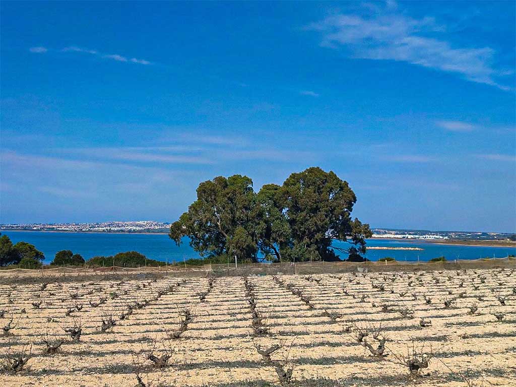 Natural Park La Mata and Torrevieja