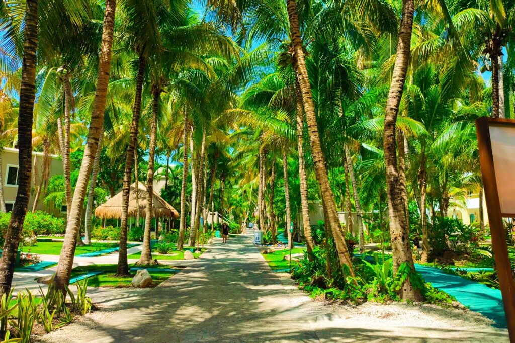 All Inclusive Resort Mexico