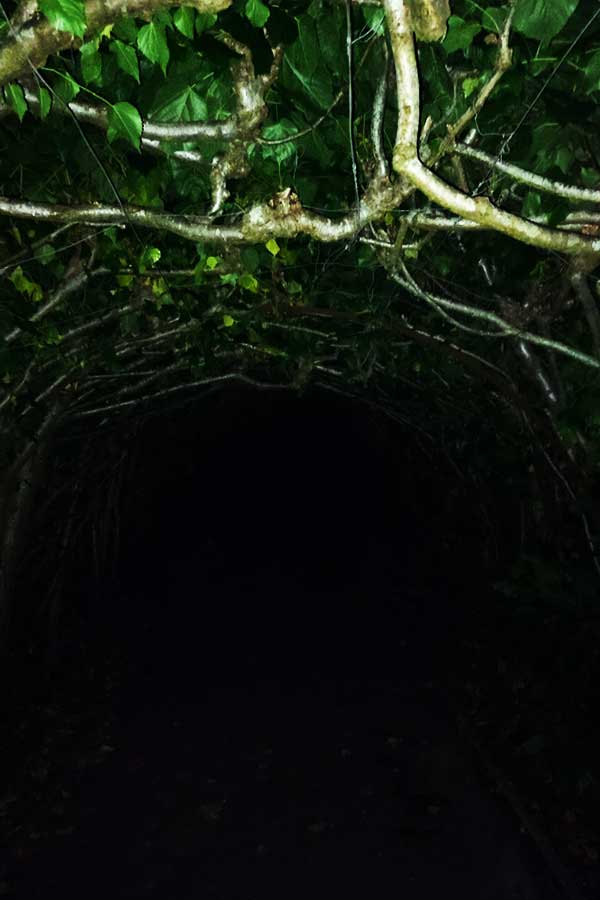 Christchurch Gardens Arch at night